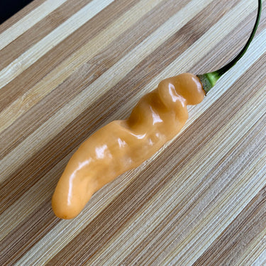 Lightning Habanero Peach - Seeds - The Pepper Pantry (Formerly Marie Sharp's)
